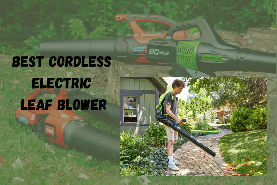 Best Cordless Electric Leaf Blower for 2024 A Blog to Home