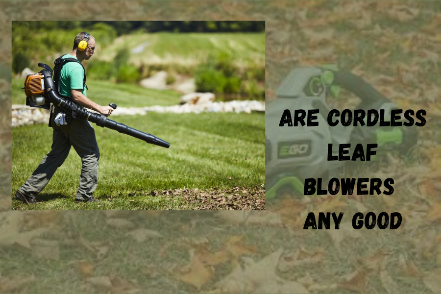 Are Cordless Leaf Blowers Any Good? A Blog to Home