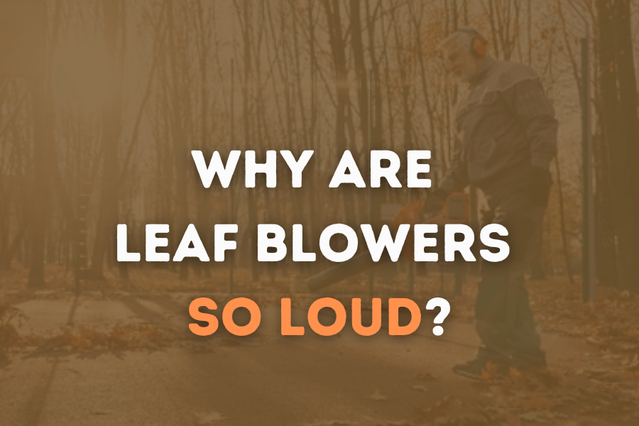 Why Are Leaf Blowers so Loud? How to Make Them Quieter?